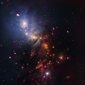 NGC 1333 is a cluster that contains many stars that are less than two million years old, which is very young in astronomical terms. This new composite image combines Chandra's X-rays (pink) of NGC 1333 with infrared data from Spitzer (red) and visible light data from ground-based telescopes (red, green, and blue). The Chandra data reveal 95 young stars glowing in X-ray light, 41 of which had not been identified previously. In addition, X-ray observations can reveal information about the physical properties and behaviors of these very young stars.