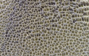 MRO-HIRISE-Mars-Dunes-Polygons-Shallow-Ice-Mud-Flat-PIA17726-full